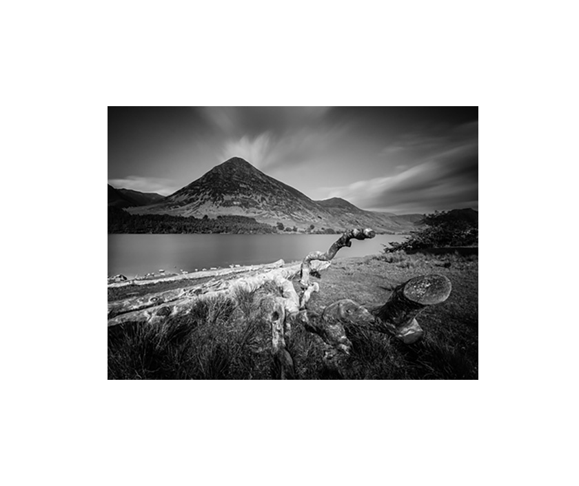 Crummock Water Lake Fallen Tree - Black and White