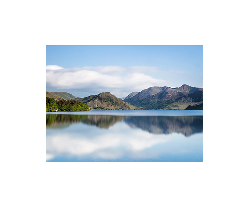 Crummock Water Tree Canopy - Colour